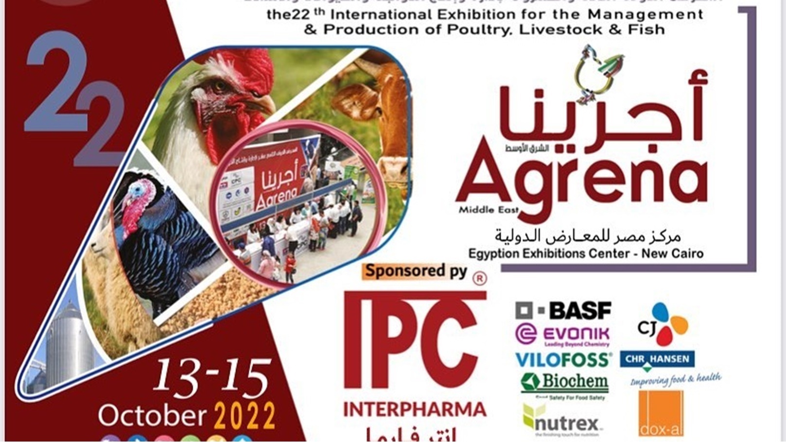 291493144_5429941297068414_5349757276893087131_n