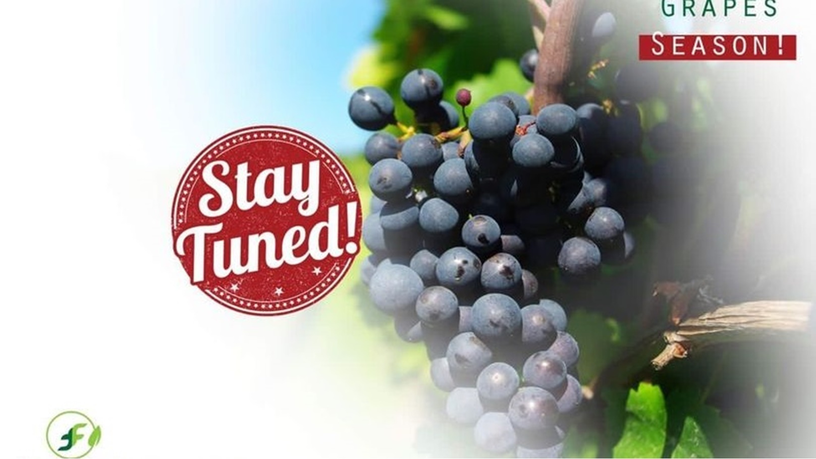 169028232_175491807742573_2461060975231779762_n