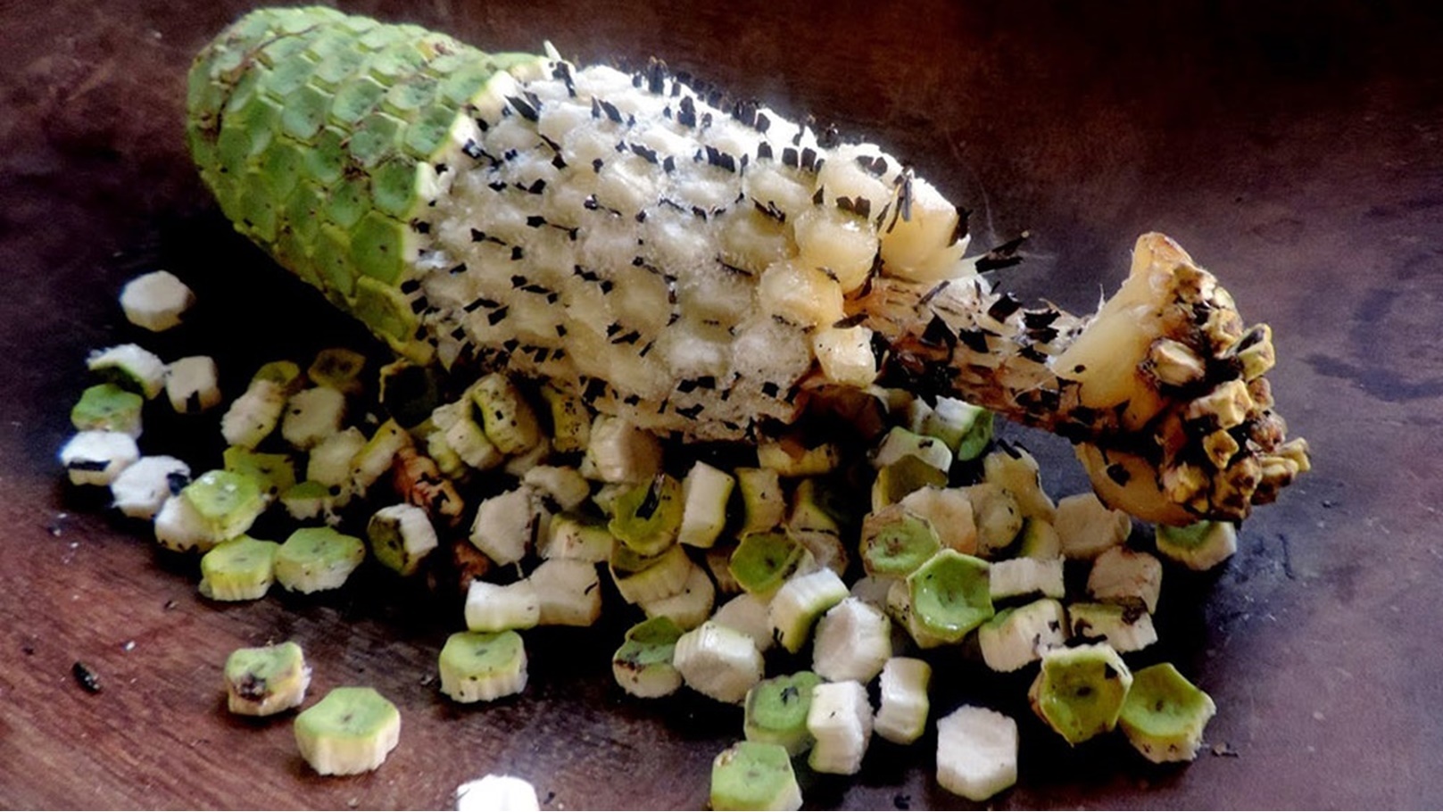 Monstera Deliciosa وحش الفاكهة (3)