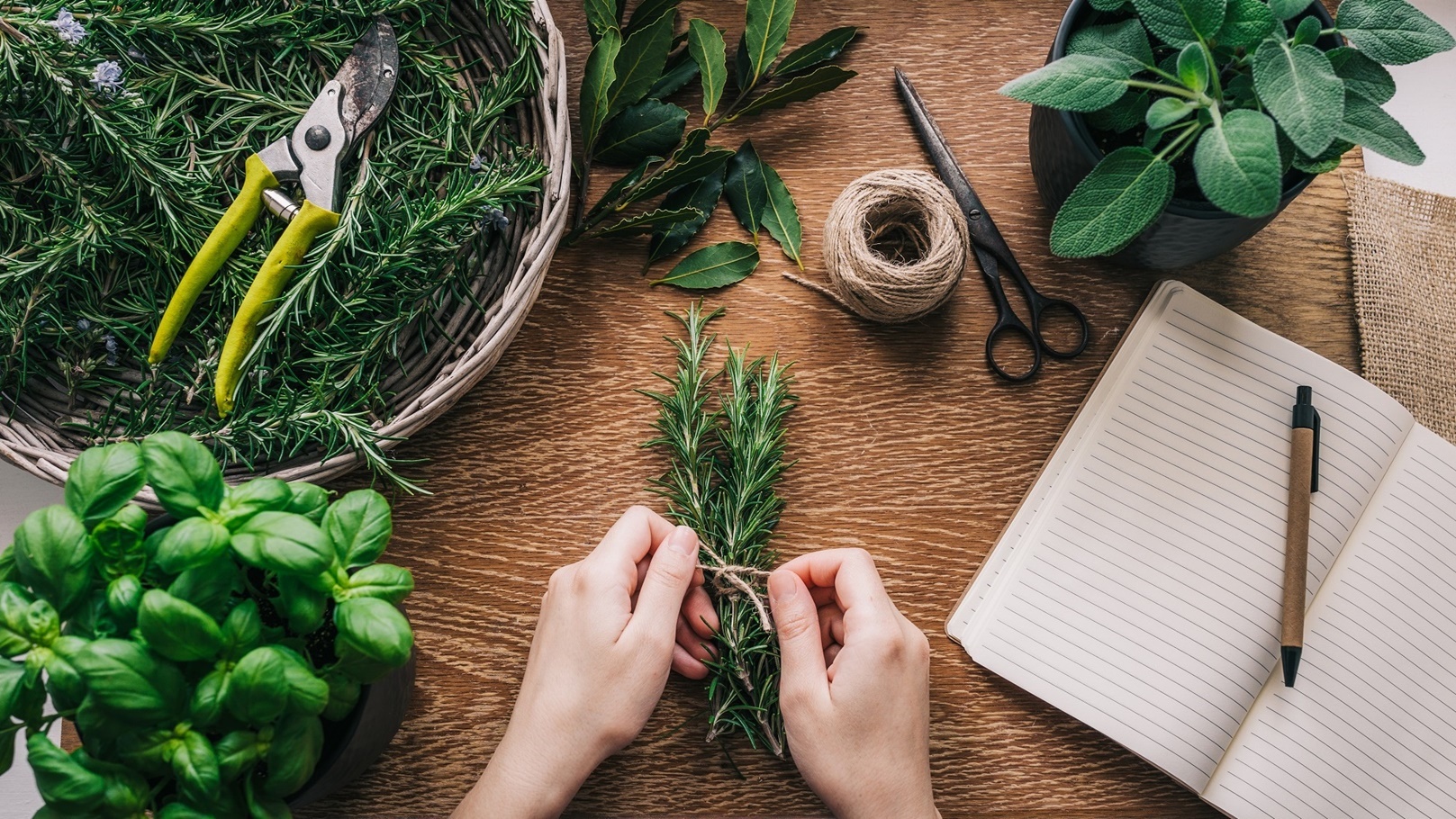 fresh-herbs-2022-02-02-05-09-39-utc