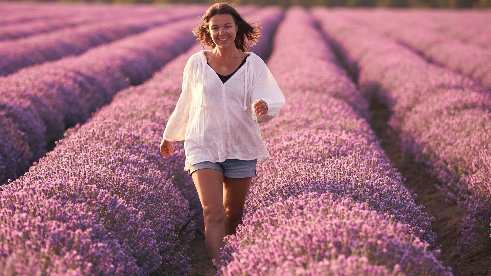 اللافندر - لافندر - lavender - نبات اللافندر (5)