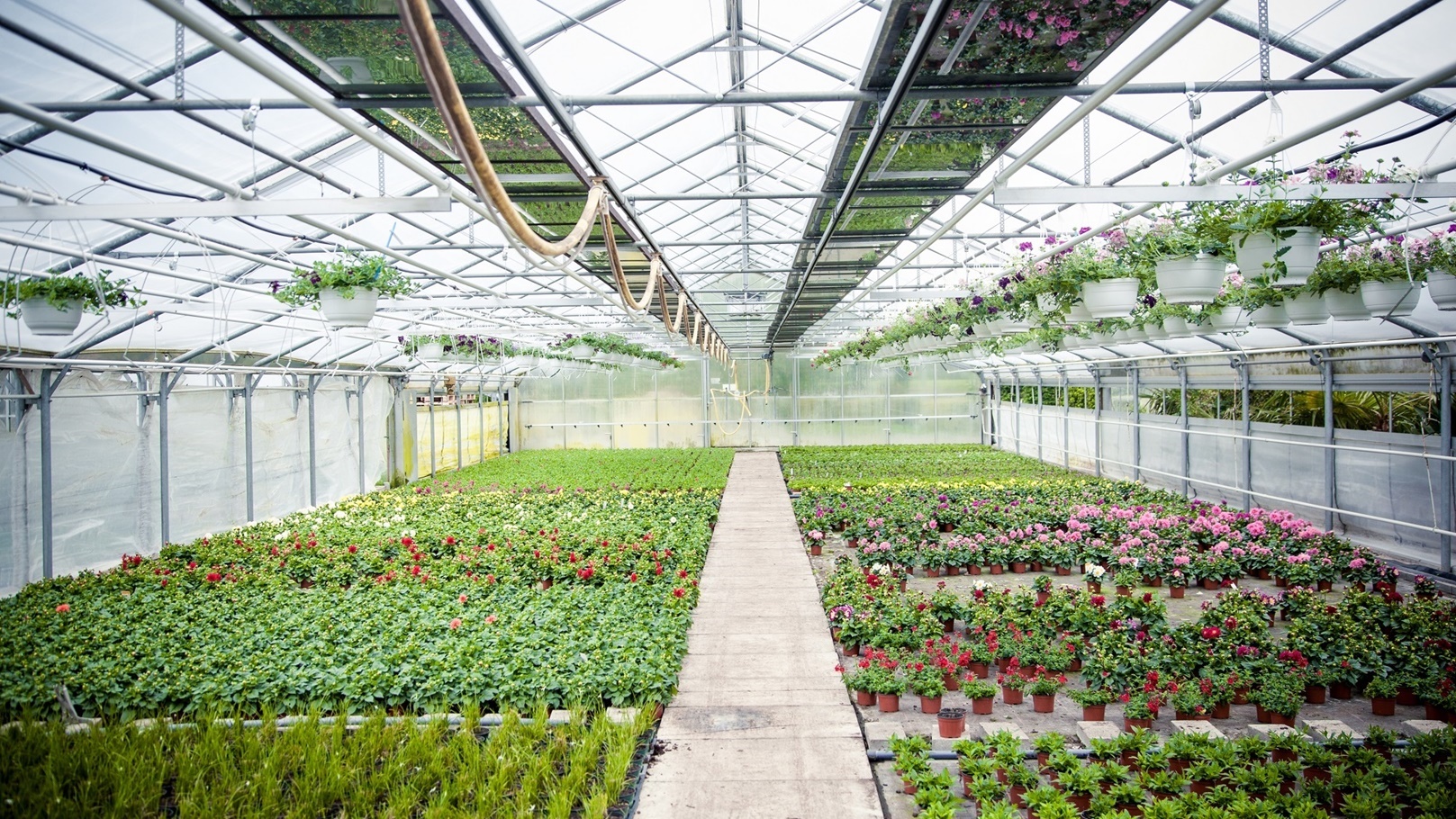 agriculture-2022-03-07-07-21-51-utc