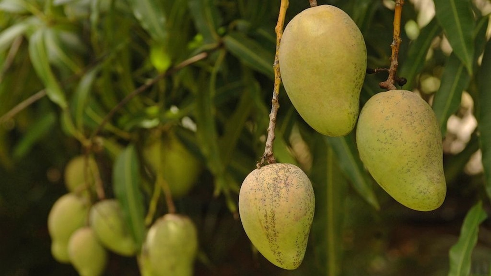 124b78162182ff6336356a6a20dc891d