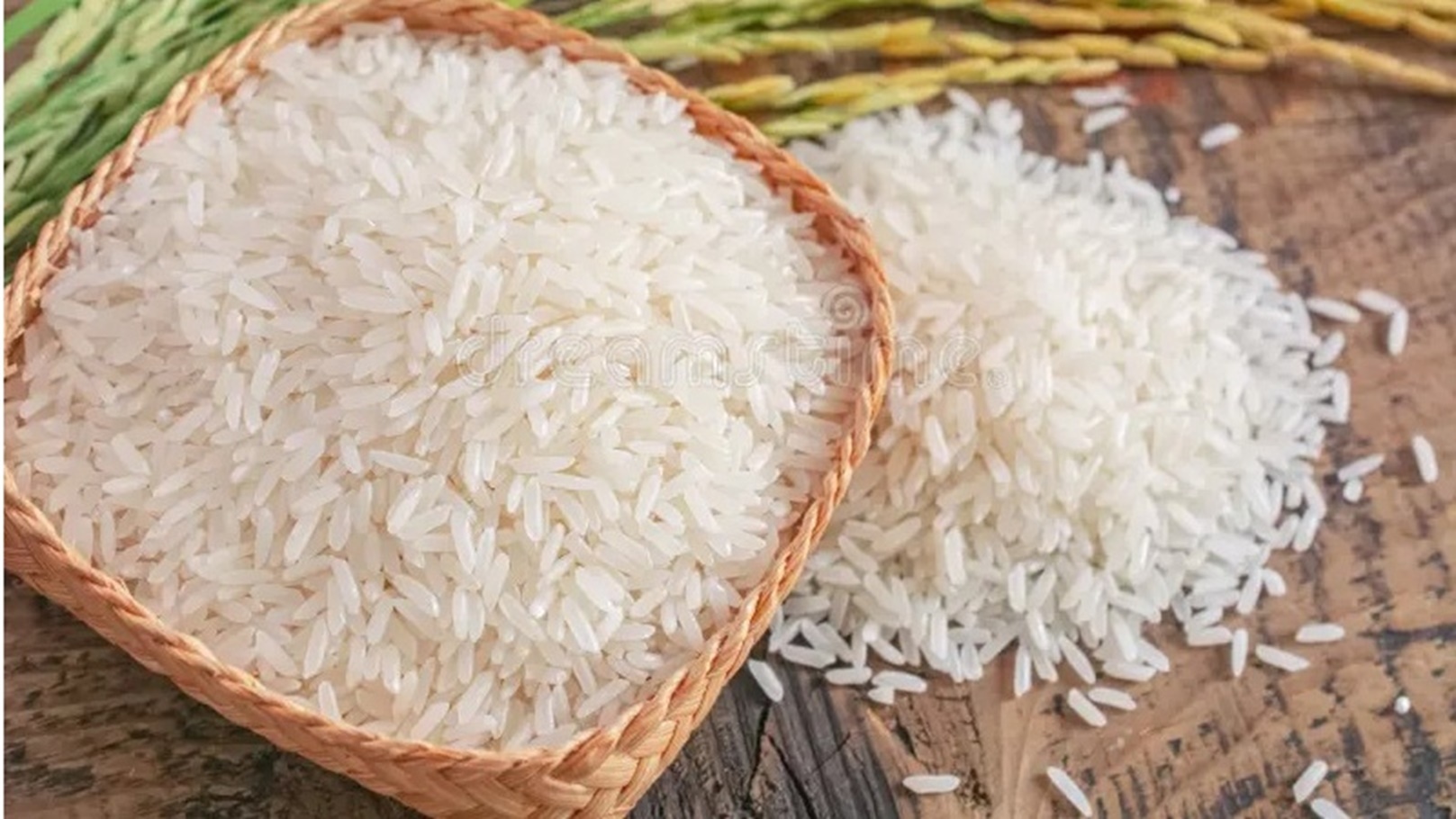 1eb4cbd4-619f-441d-a7a9-730bfaa7c952