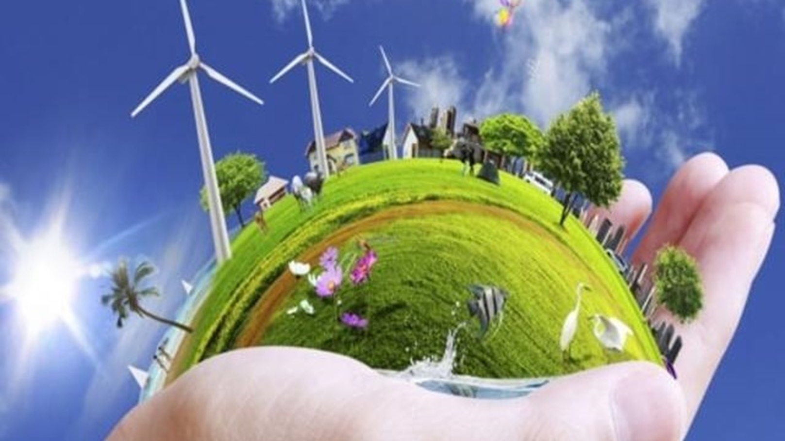 1-QUE-ES-CULTURA-AMBIENTAL