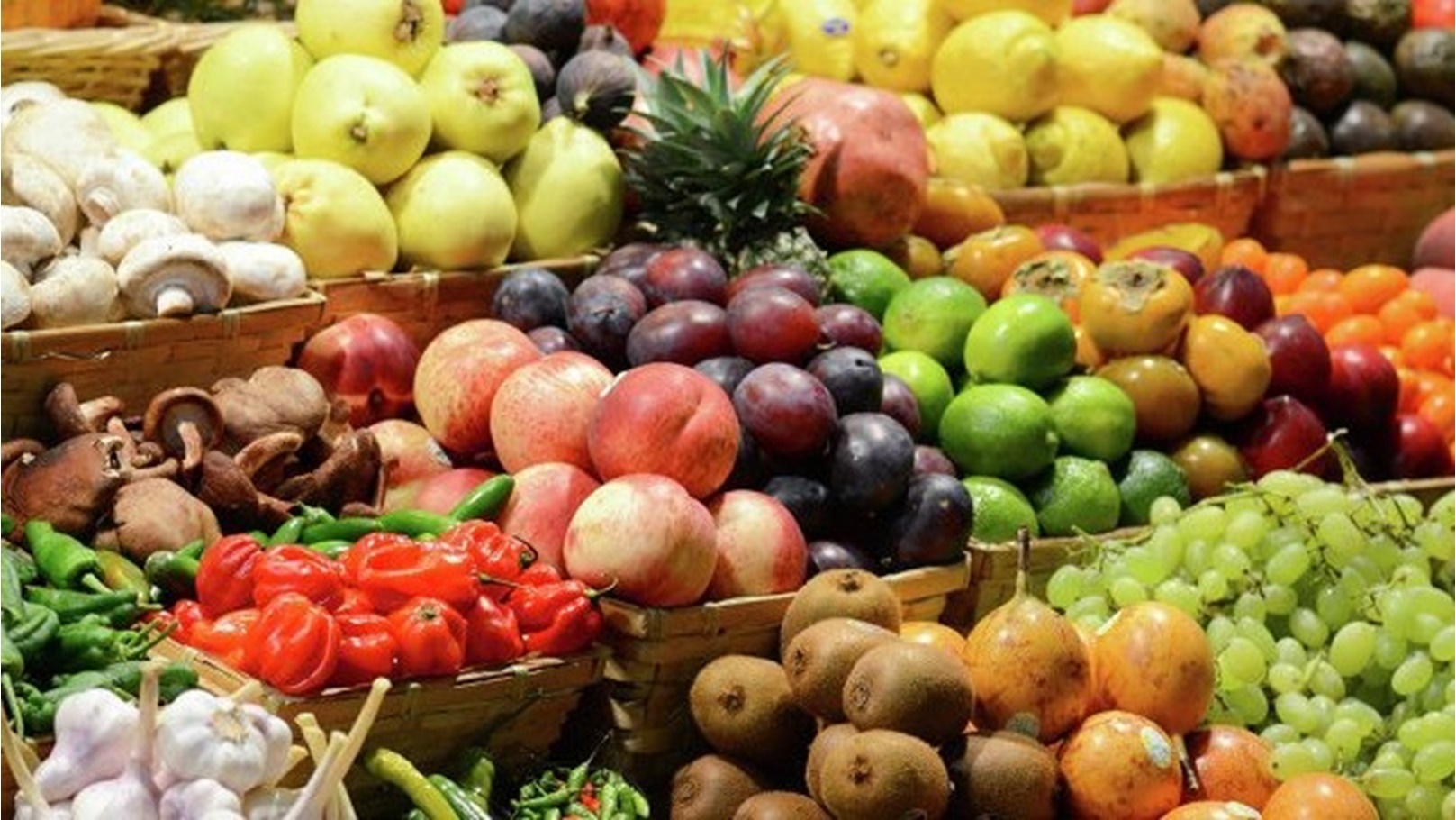 مراكز الغذاء الأخضر