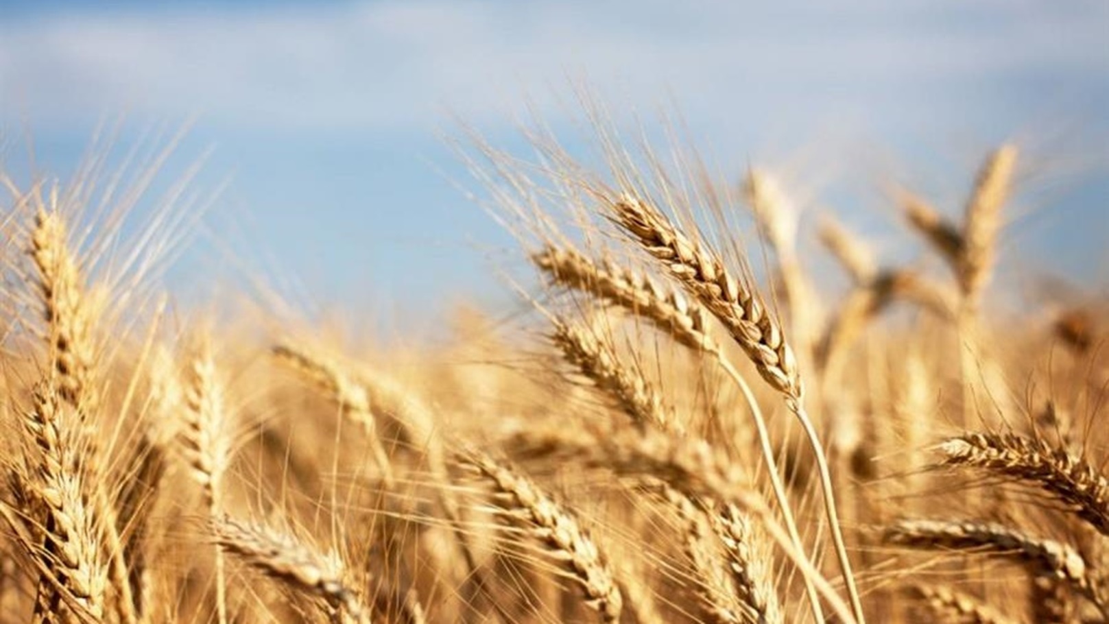 09bbb4a1-fc2a-4c21-a516-c5c862eee25a