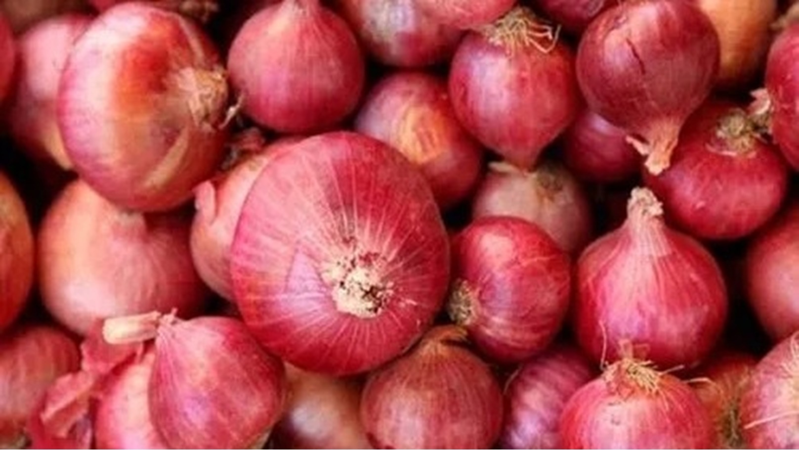 50d2d325-5f6b-467e-8685-76b8fc873167