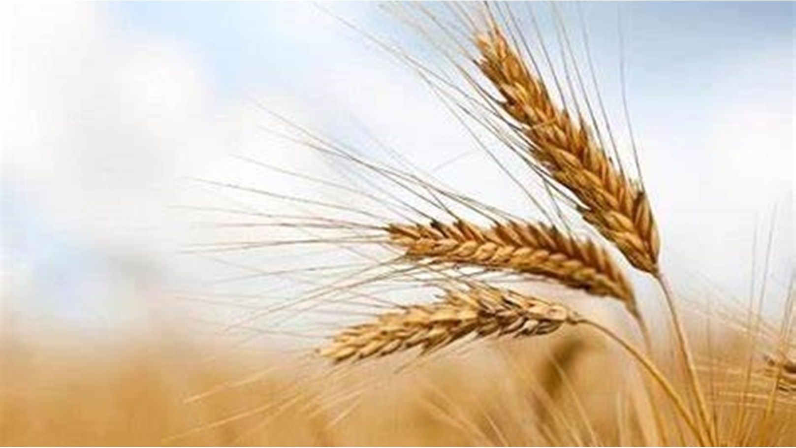 0c339b7c-c74b-4440-b057-58a8ed3693e2