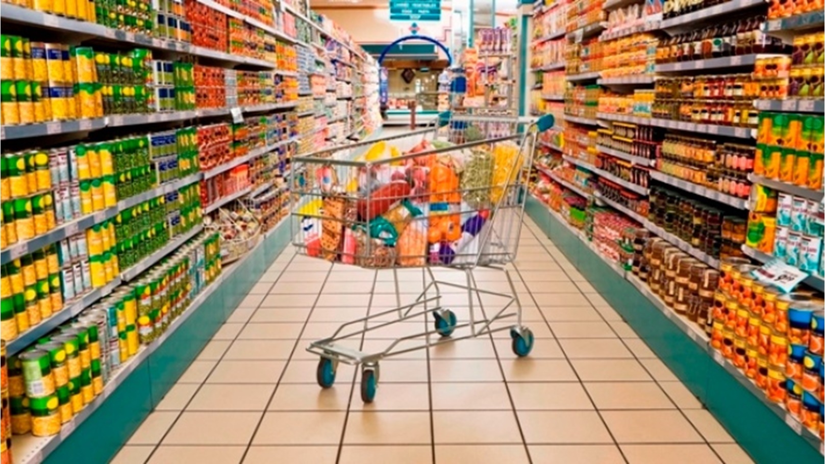 9XscQXpBdPioH97O0vcRHAuqgLcaEttrZTrChRAO