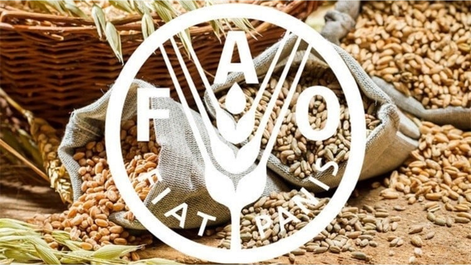 5519898a611e9bc9118b4593