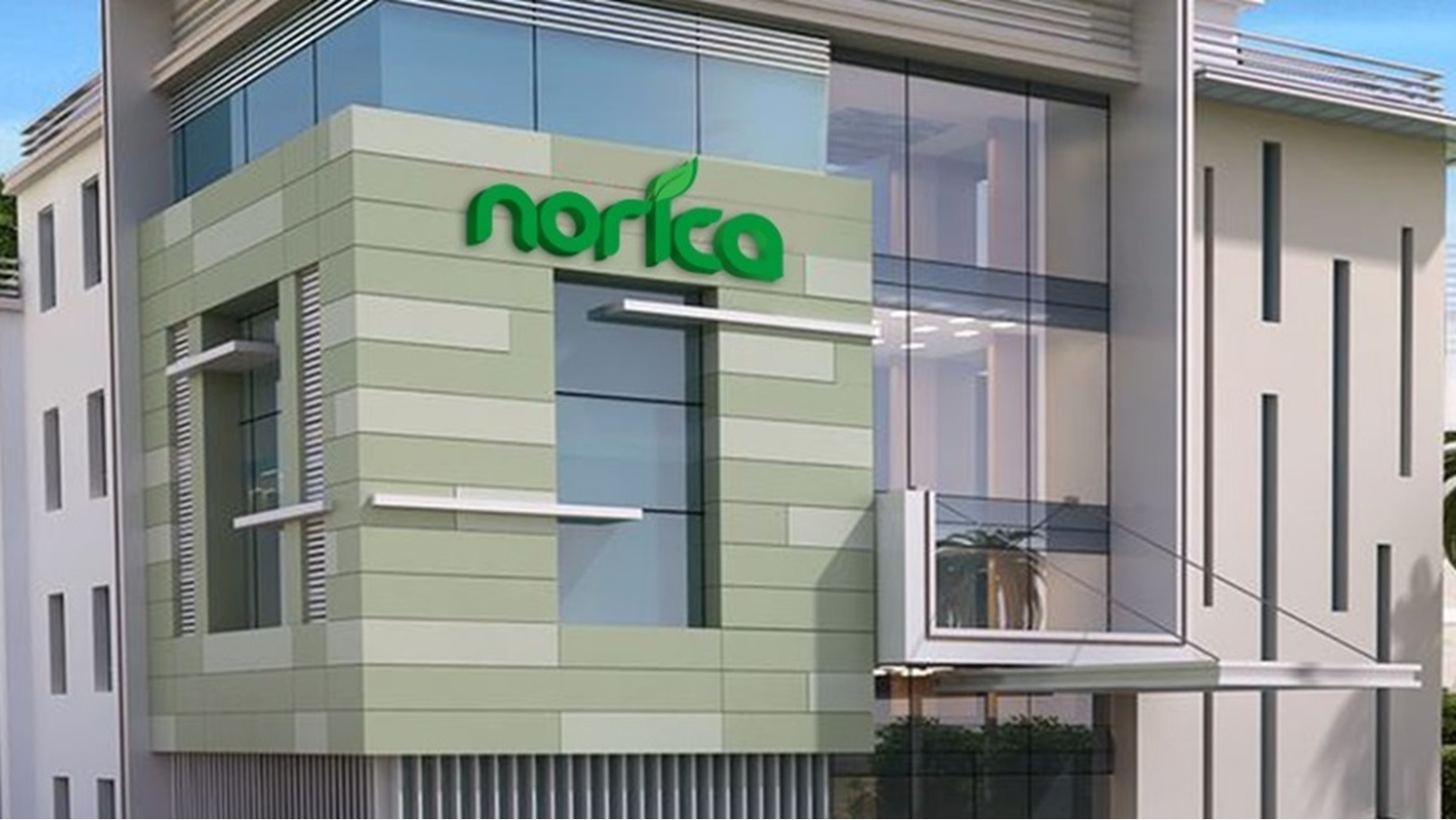 شركة شمال أفريقيا للصناعات الغذائية