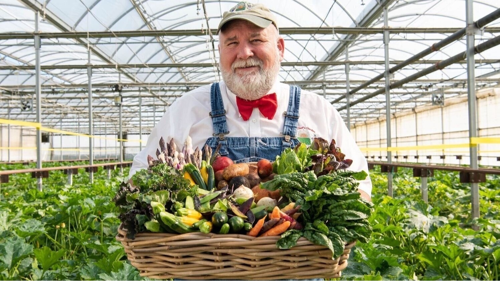 خضار في المزارع