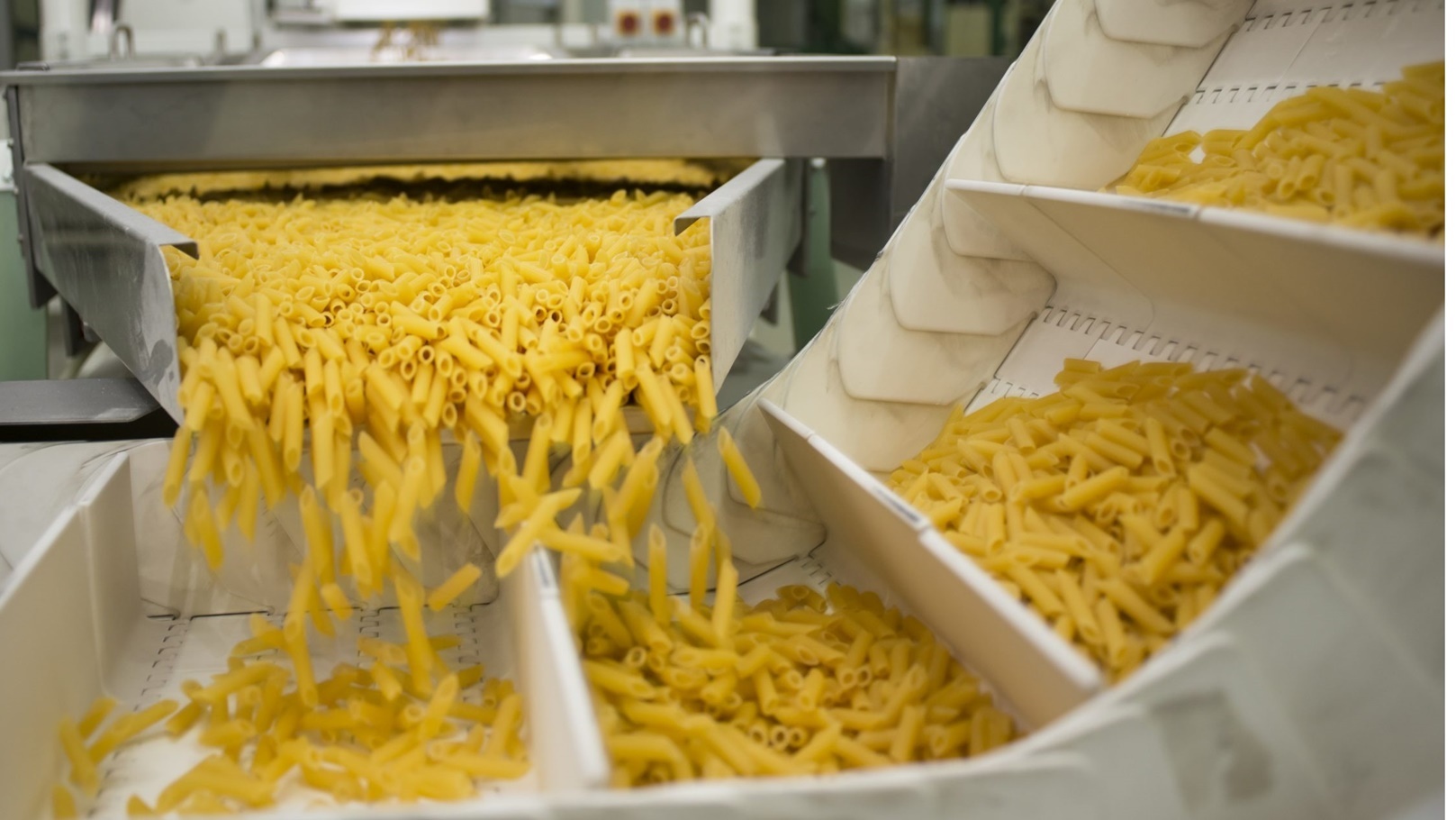 صناعة المكرونة