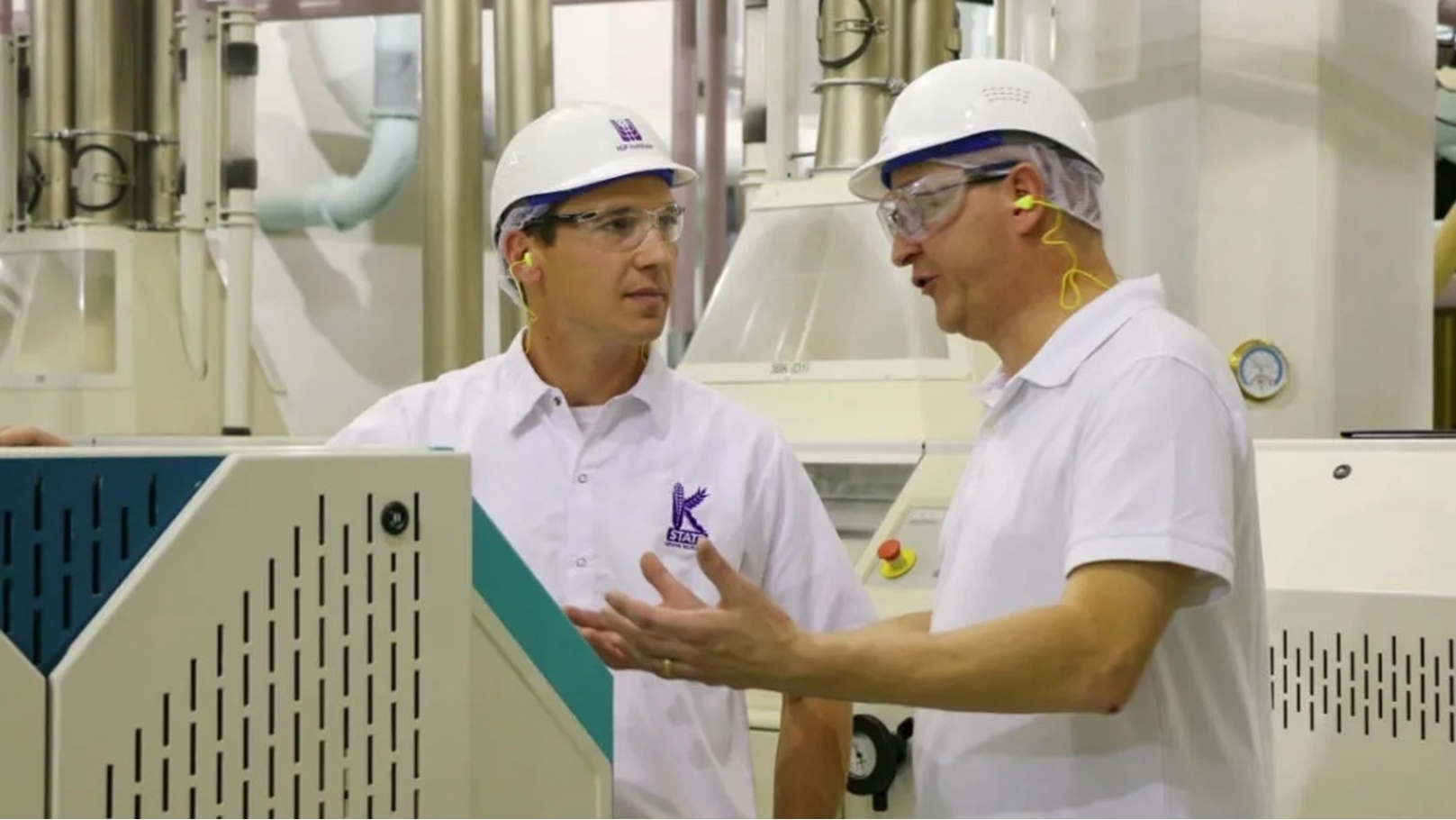 شركات المطاحن