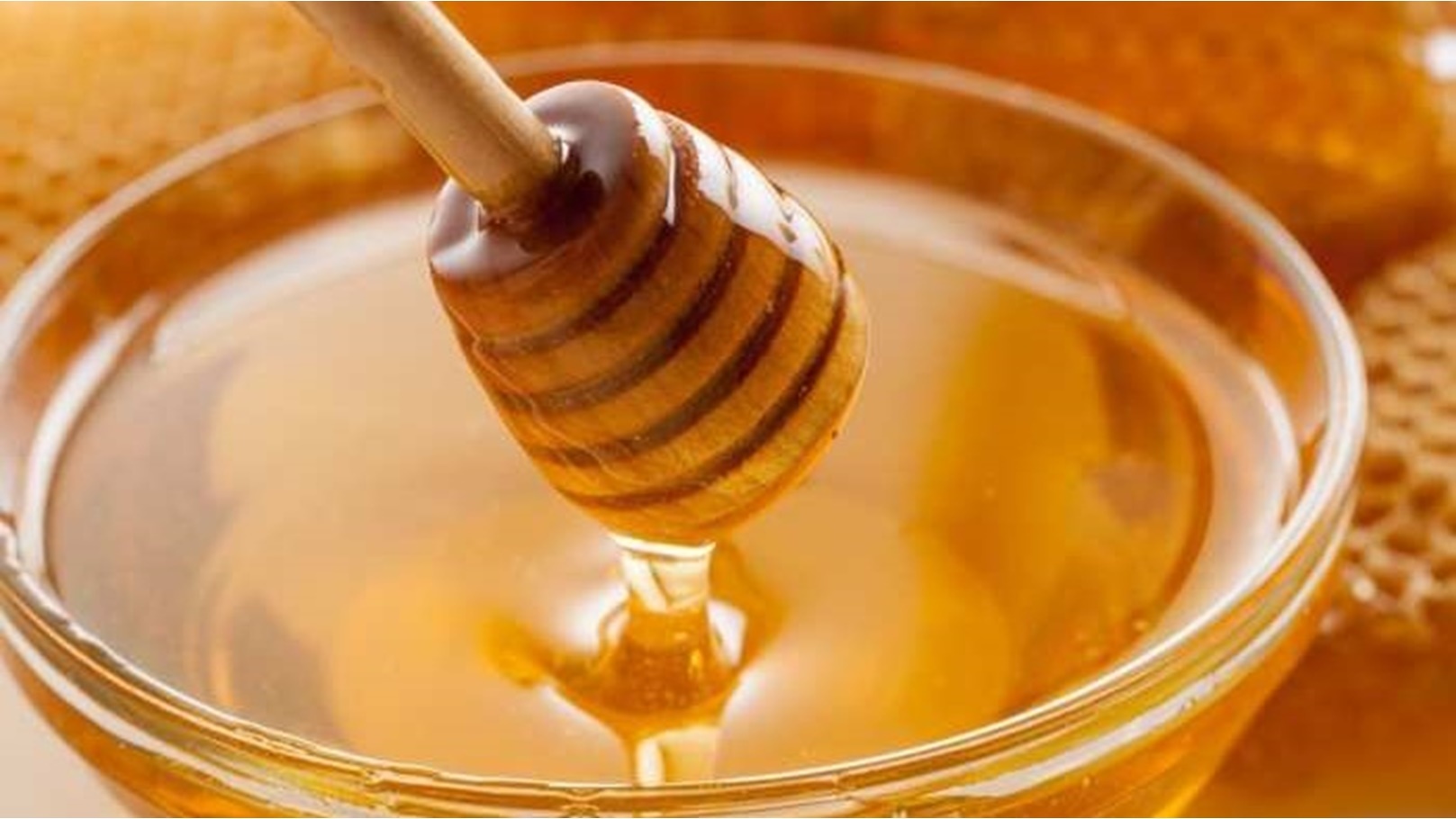 انطلاق فعاليات مهرجان العسل في القاهرة