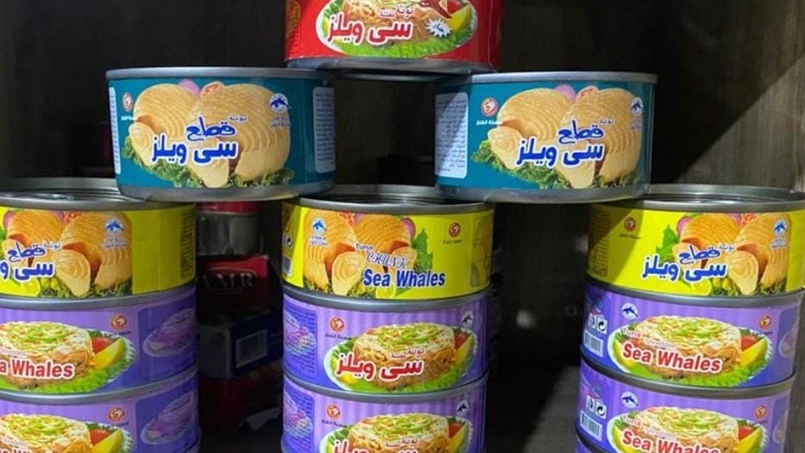 تونة سي ويلز