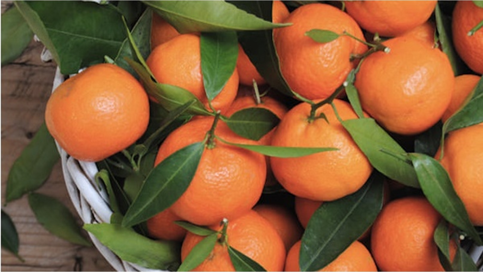 برتقال
