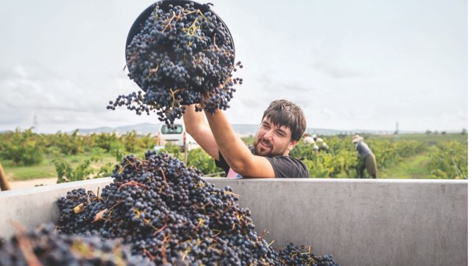 نفايات الطعام