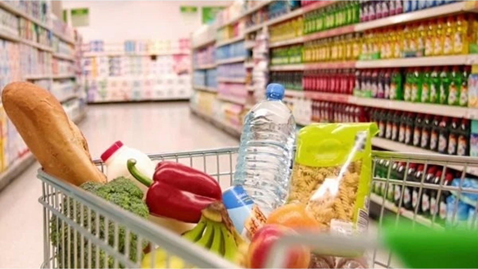 05bbcb76-cdf0-4485-91f7-969a7d6ad434