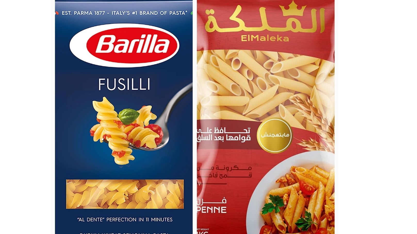 ٢٠٢٤١١٢٠_١٥١٧٤٣