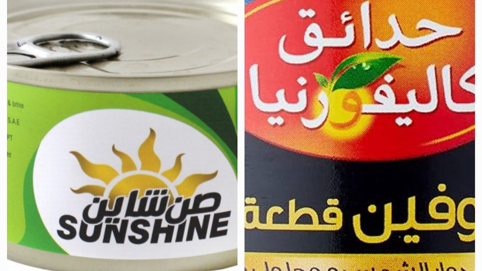 ٢٠٢٤١١٢١_١١٥١٠٤