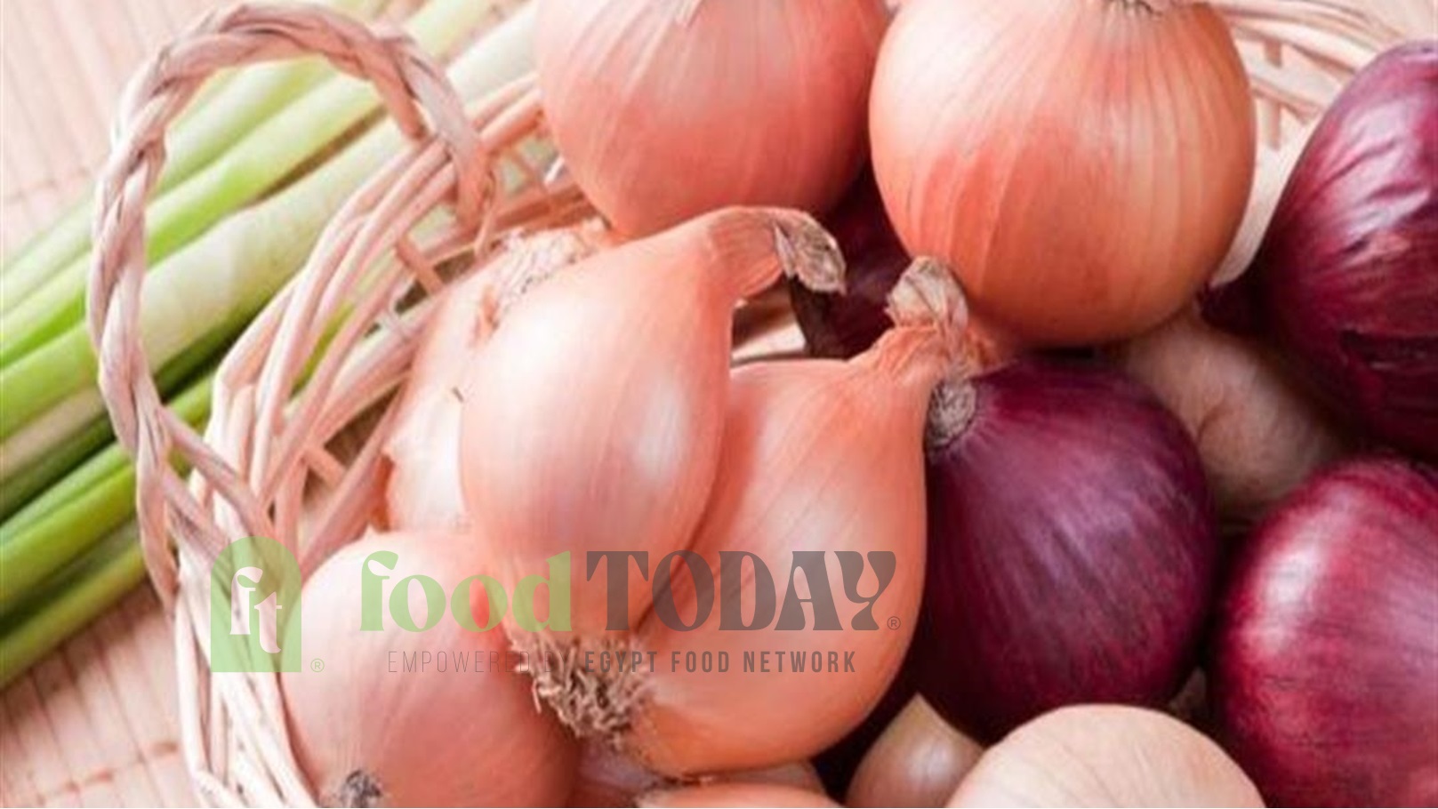 2019_11_1_13_1_2_831