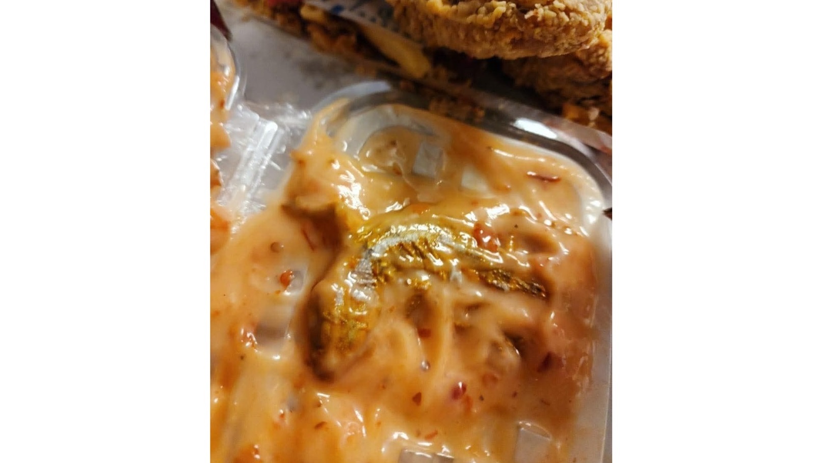 FB_IMG_1732967766307