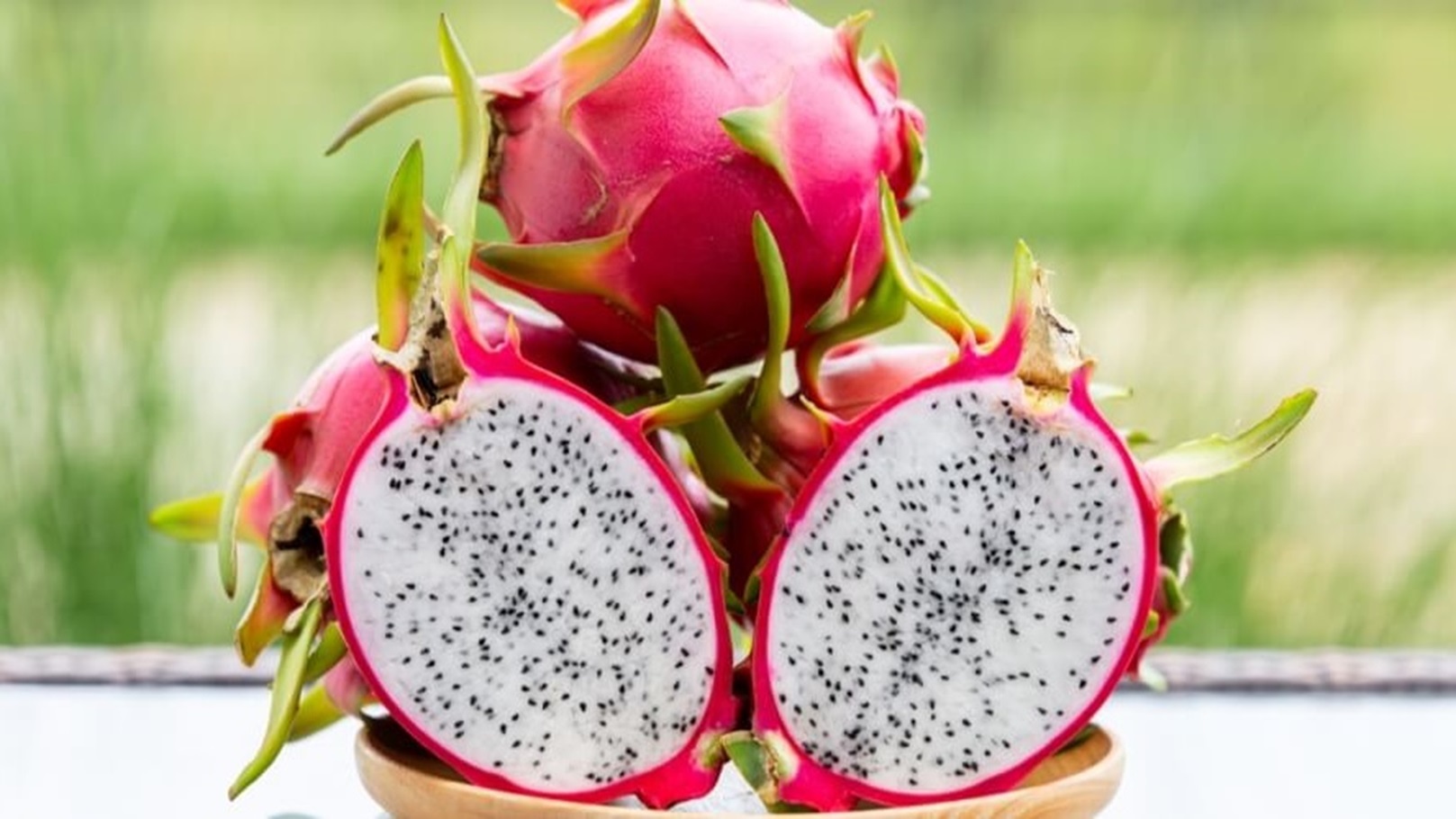 tbl_articles_article_35837_6043934a1f7-4f7e-4d29-b248-6ceb157254e6