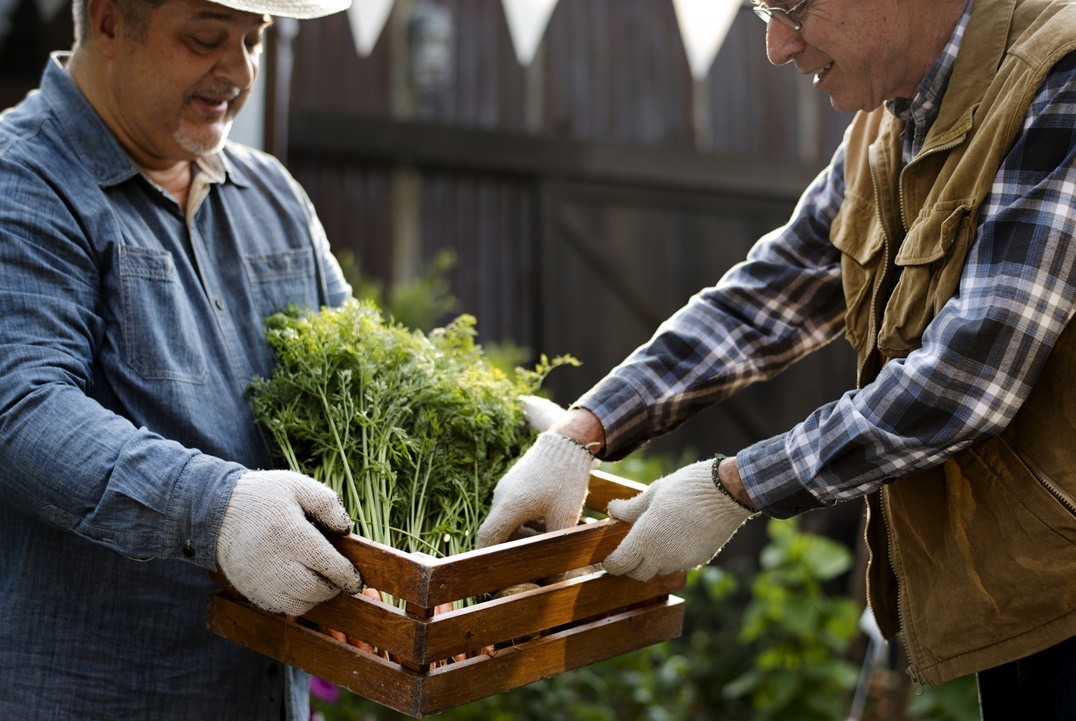الزراعة بالمانيا