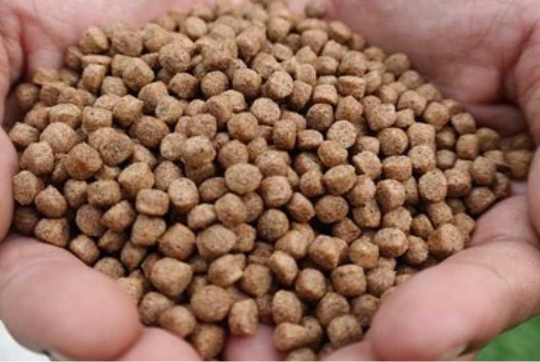 اعلاف مائية 2