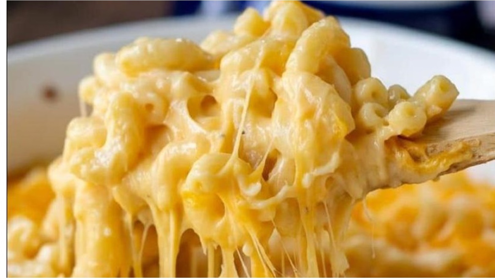 WhatsApp Image 2022-01-14 at 5.11.05 PM