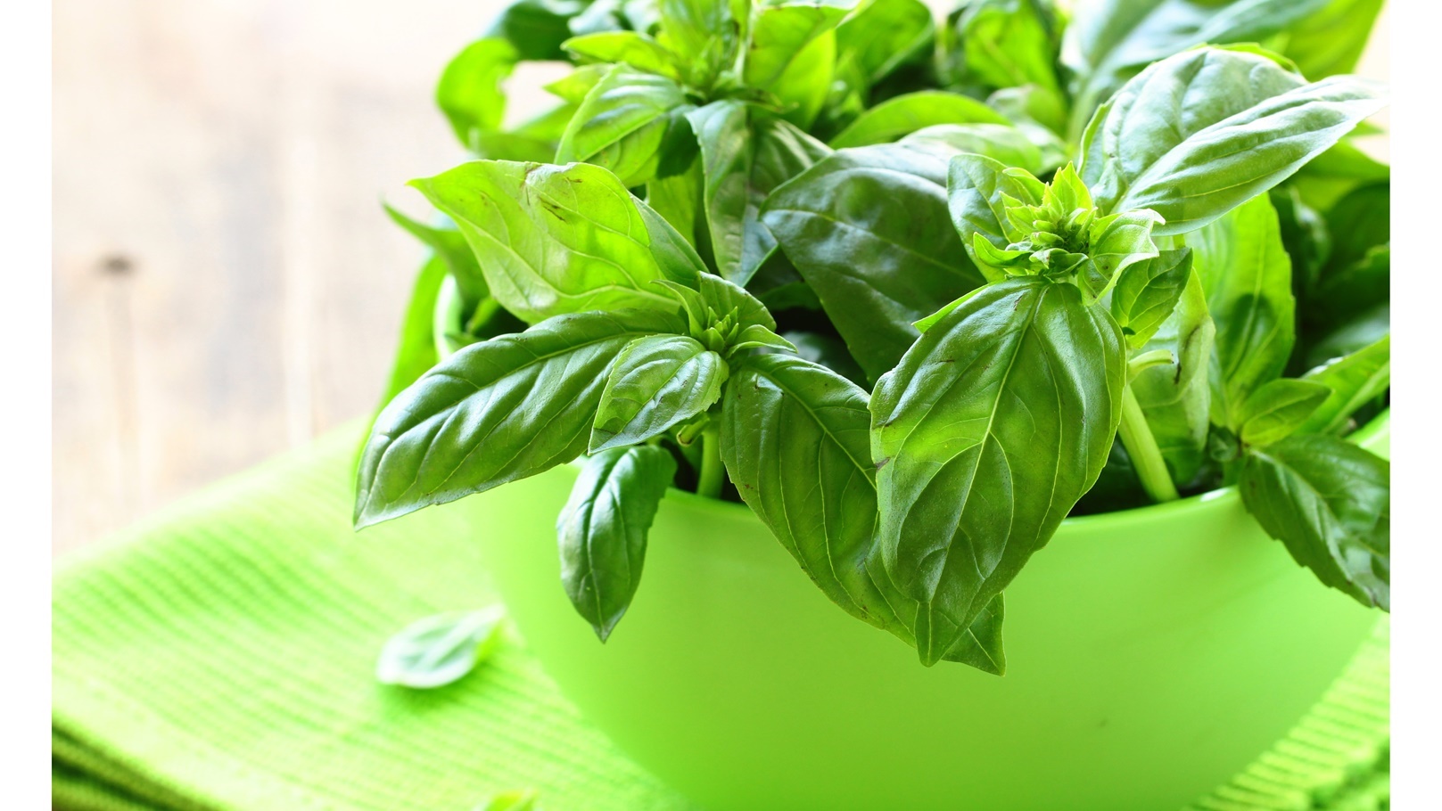 basil-2021-08-26-16-54-22-utc