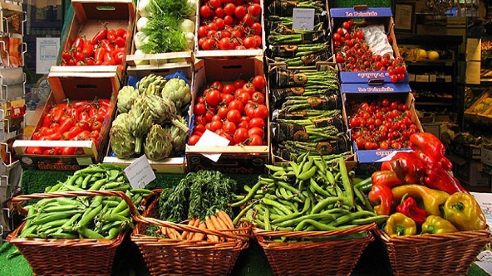 3b0b6c19-87bb-4b0b-80c7-5e3909a18408-1600x1000