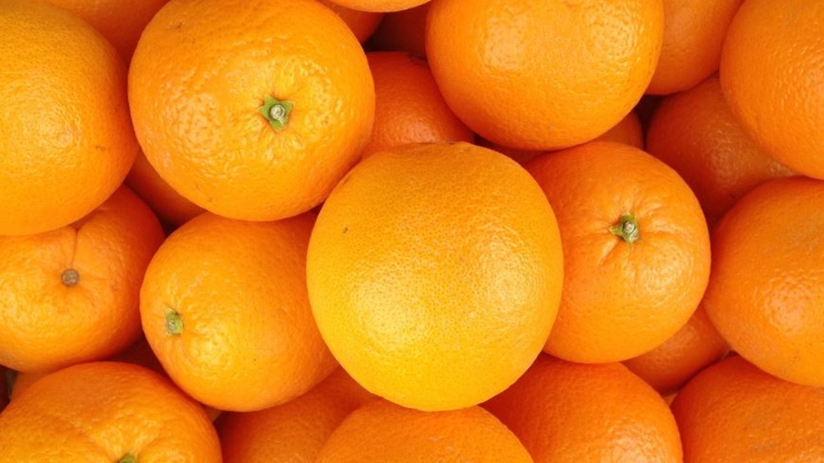 لماذا يتعفن البرتقال في الشتاء؟ اعرف السبب...