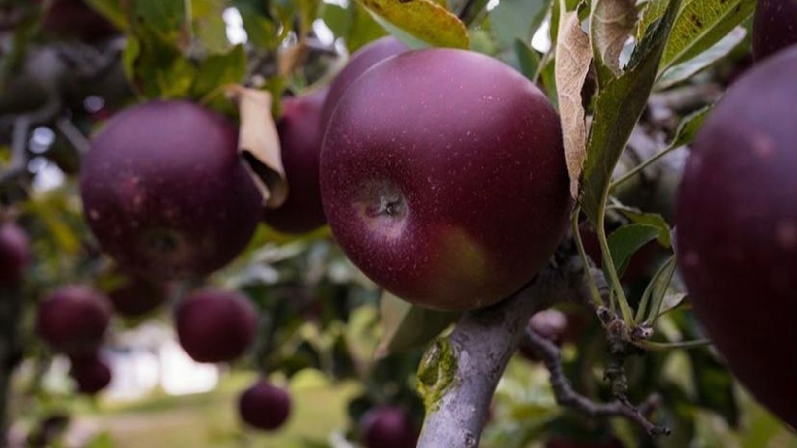 WhatsApp Image 2022-01-18 at 5.50.43 PM