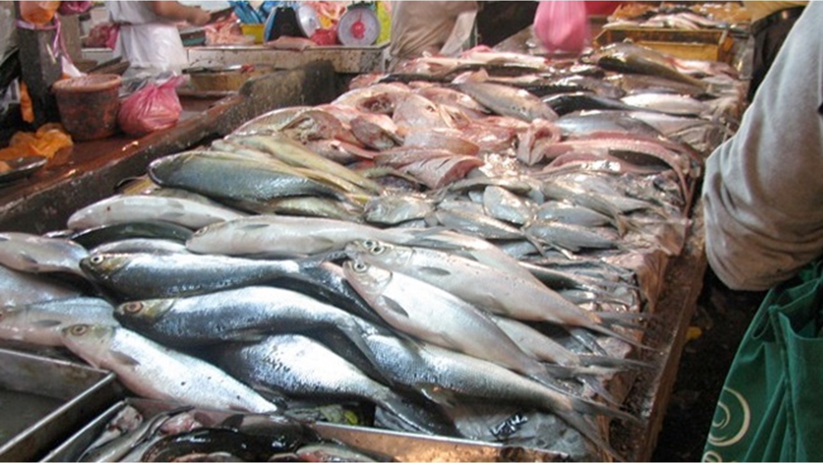 19_2018-636535112492719104-271