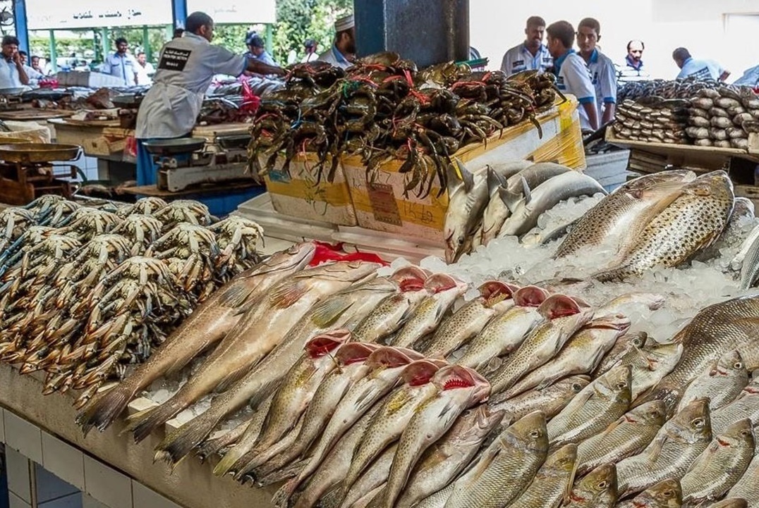 19_2020-637447617306102292-610