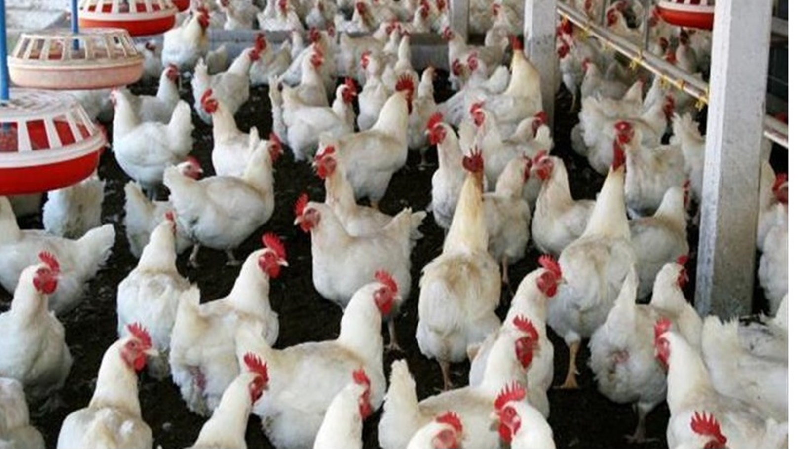 2021_8_14_1_7_14_672