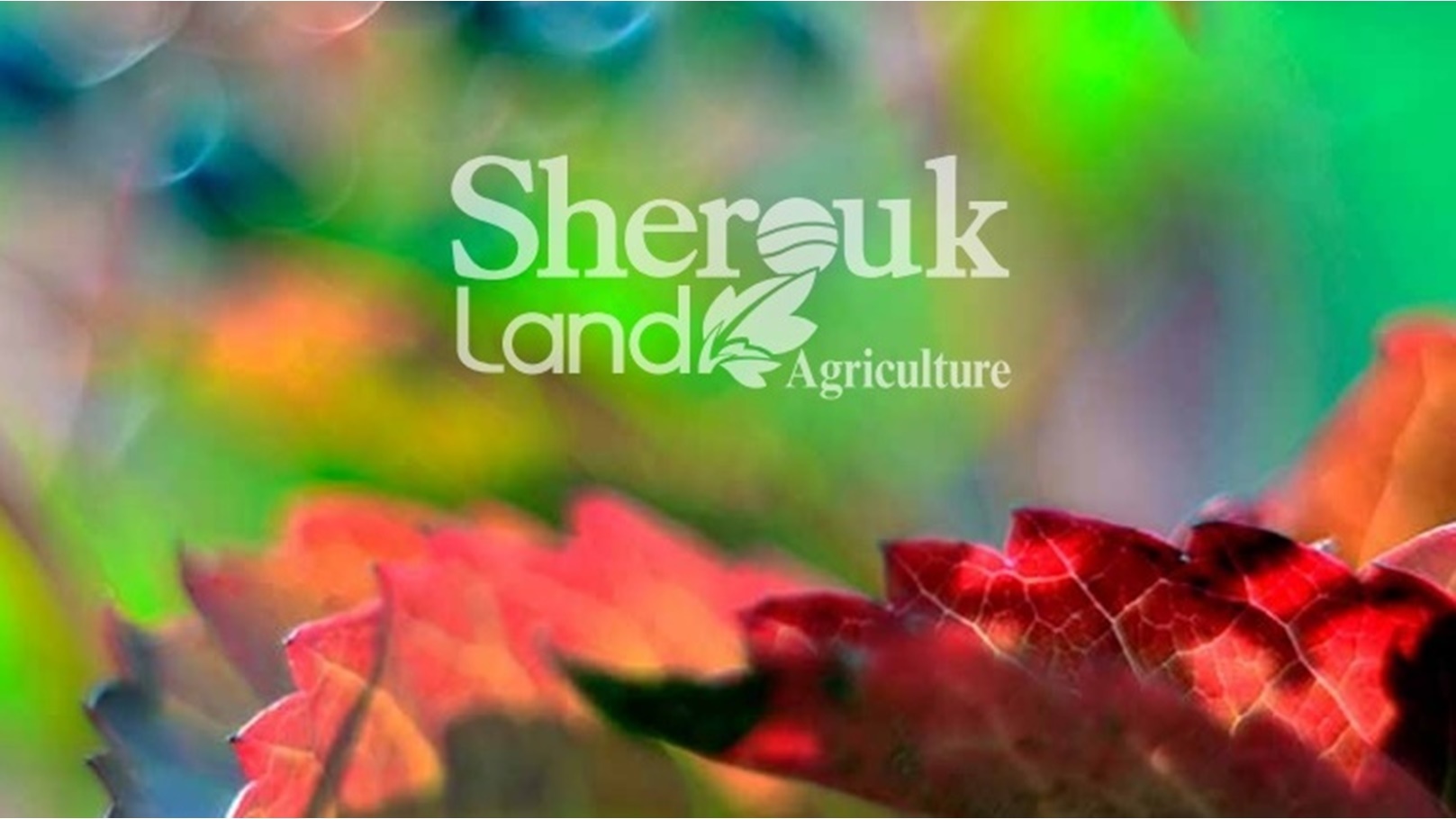 شروق لاند للتنمية الزراعية