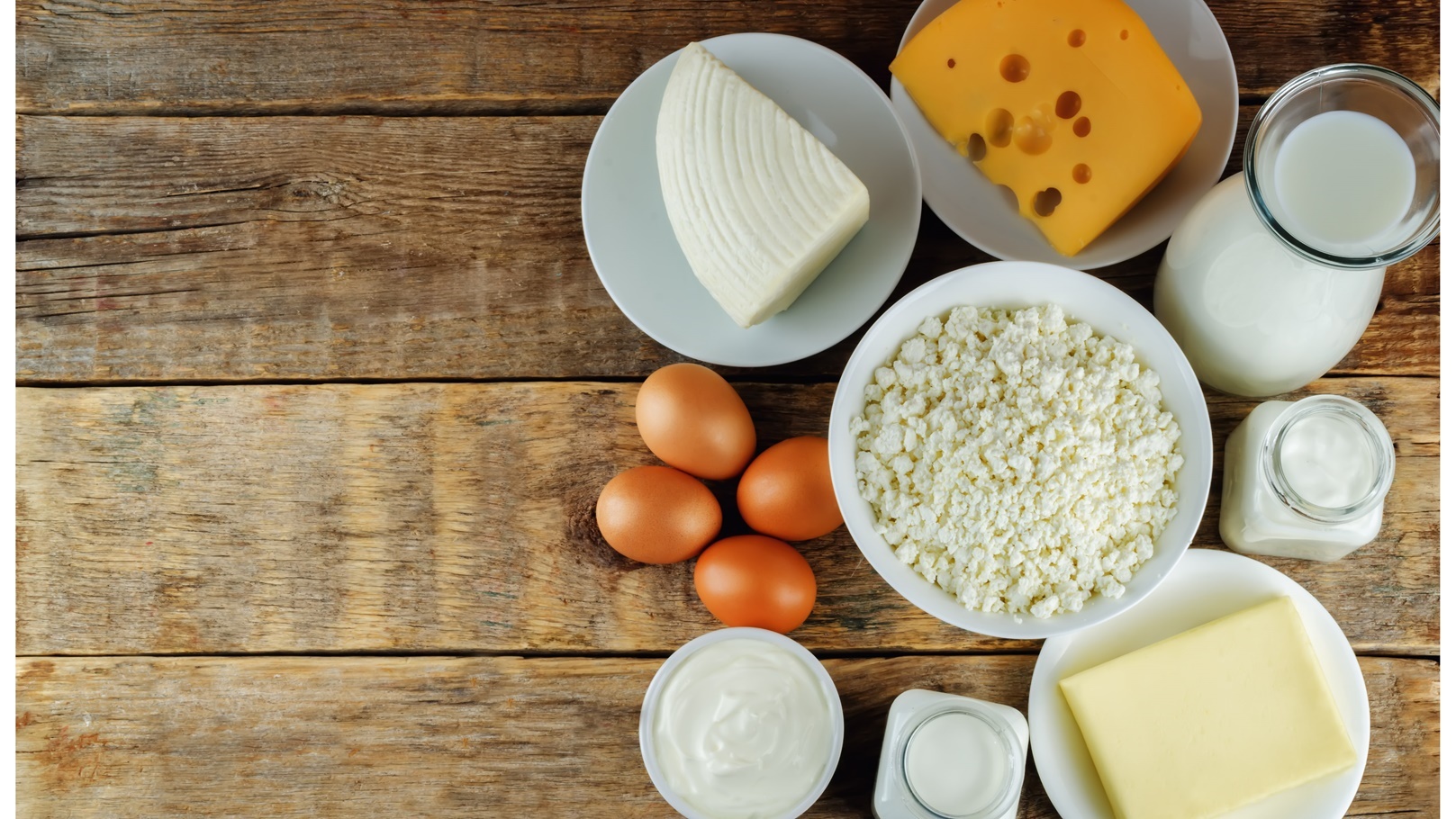 منتجات الالبان