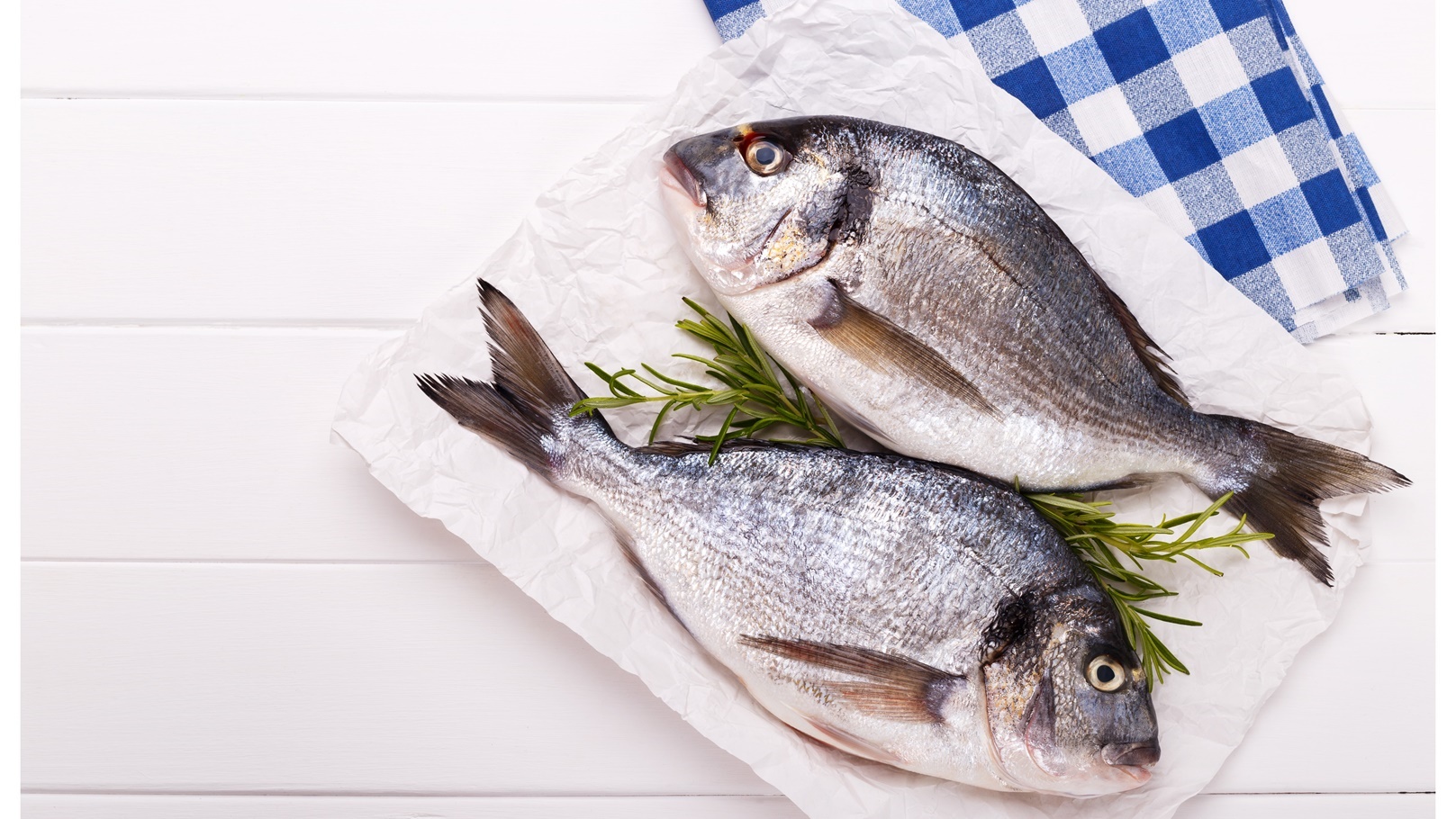 raw-fish-2021-08-26-23-04-15-utc