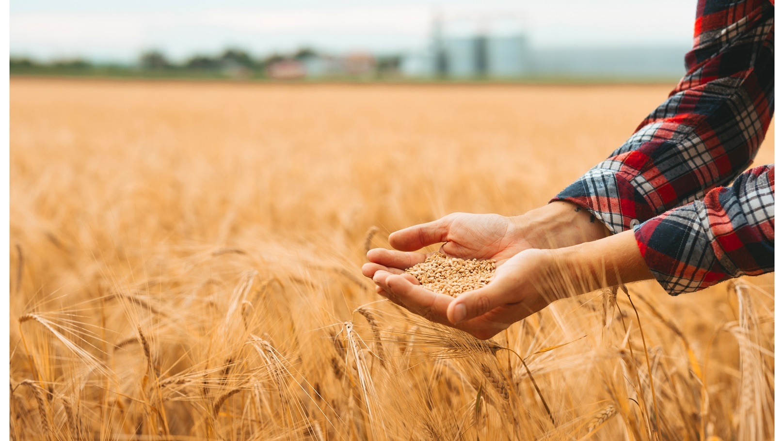 farm-2021-08-30-04-49-00-utc