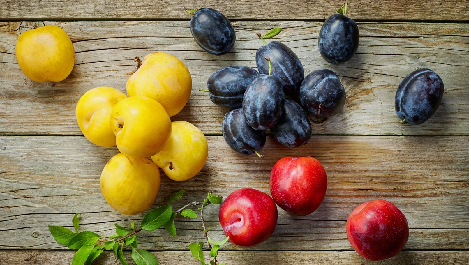 برقوق جنوب أفريقي