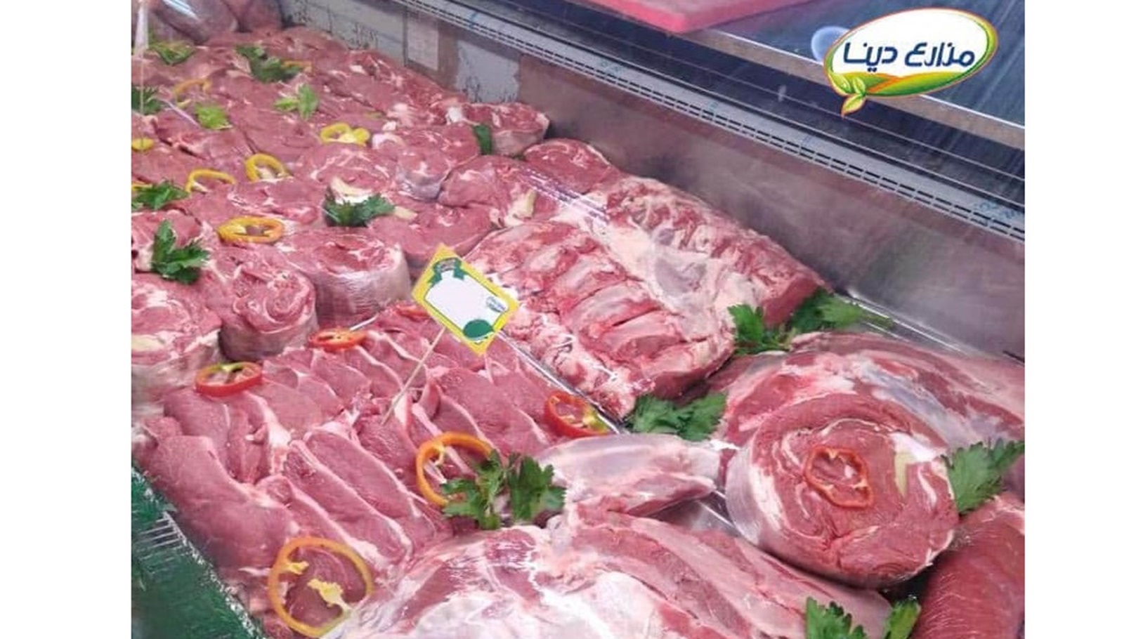 لحوم الانجوس