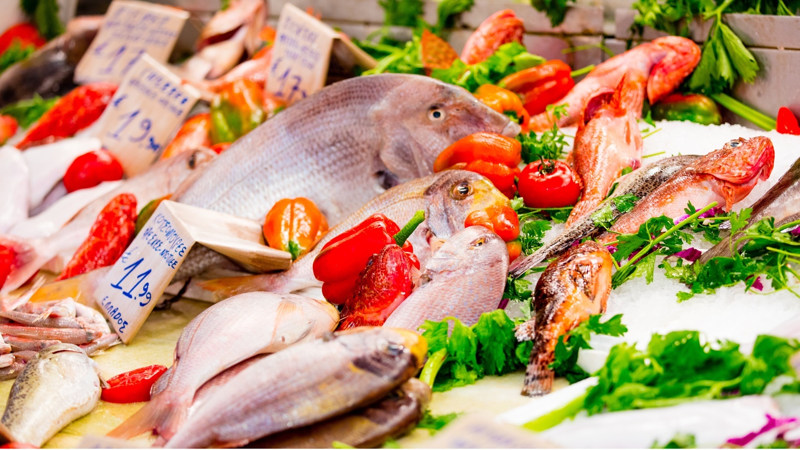 fresh-seafood-2022-01-20-04-03-42-utc
