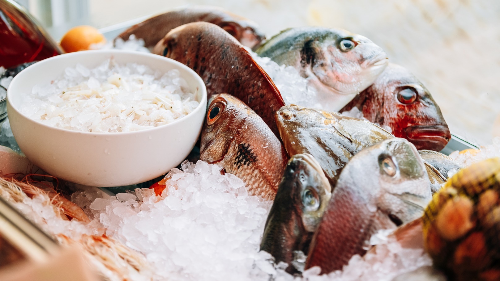 fish-on-ice-on-market-store-shop-dorado-fish-on-i-2021-08-26-23-05-59-utc