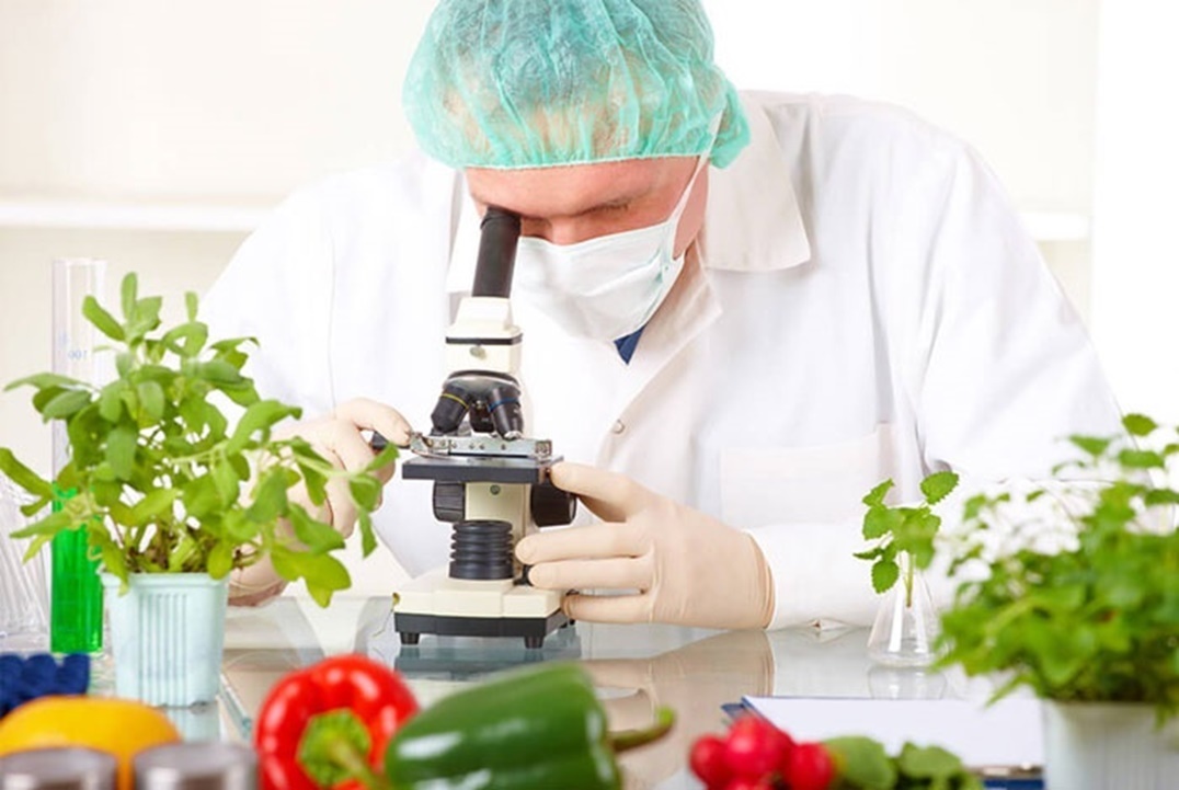 تكنولوجيا الغذاء