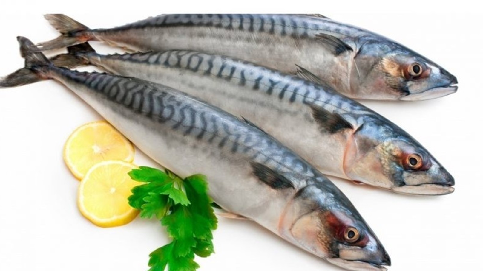 59eb534b-347f-4abb-b14c-87b8d0b4d67d