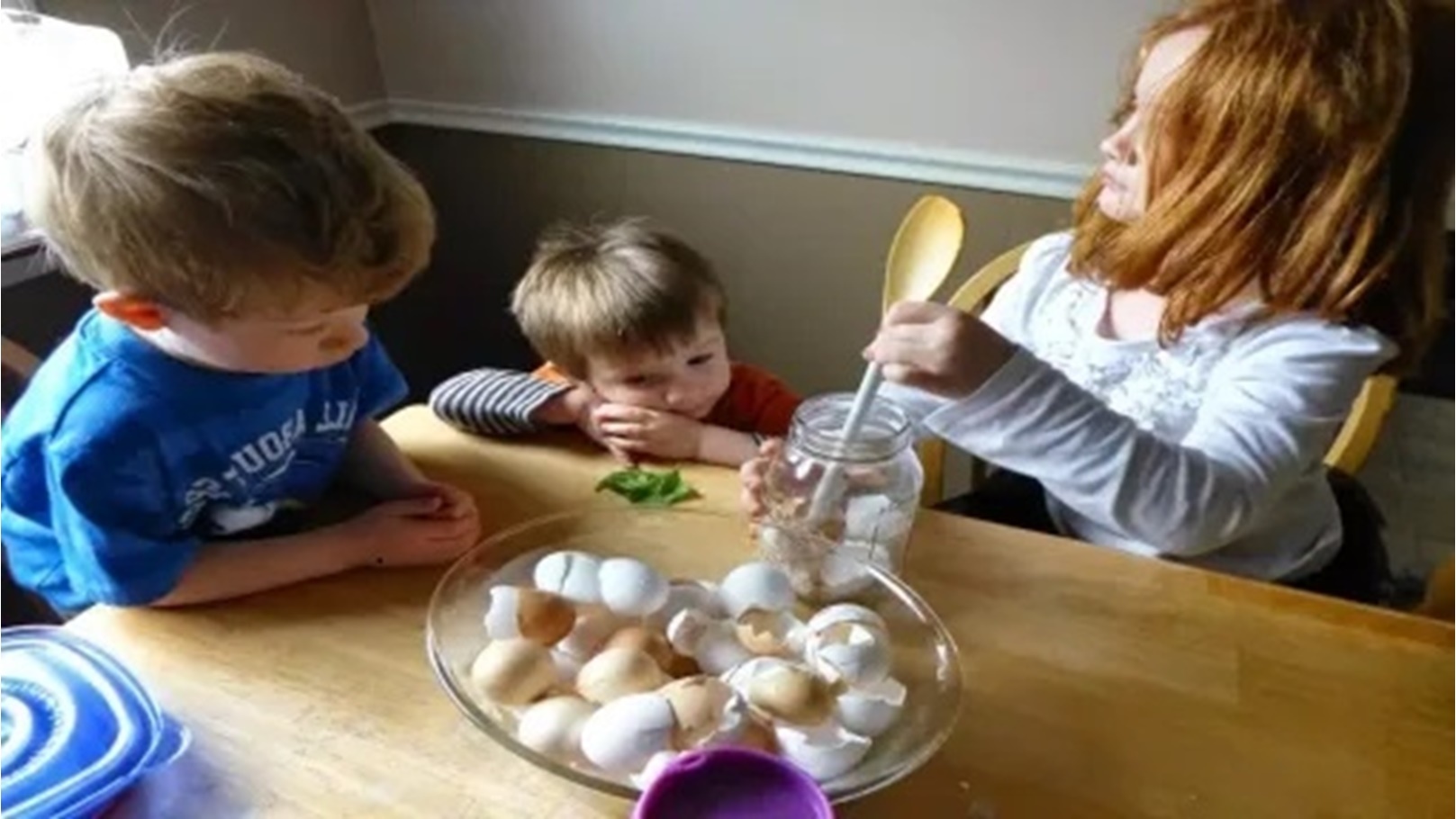 شسيشسيشسيشسيشسي